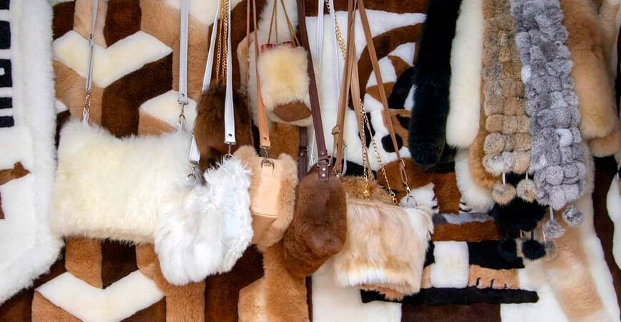 Día Nacional de la Alpaca en Ayacucho bolsos fibra de alpaca Perú