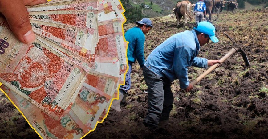 bono wanuchay agricultores Perú