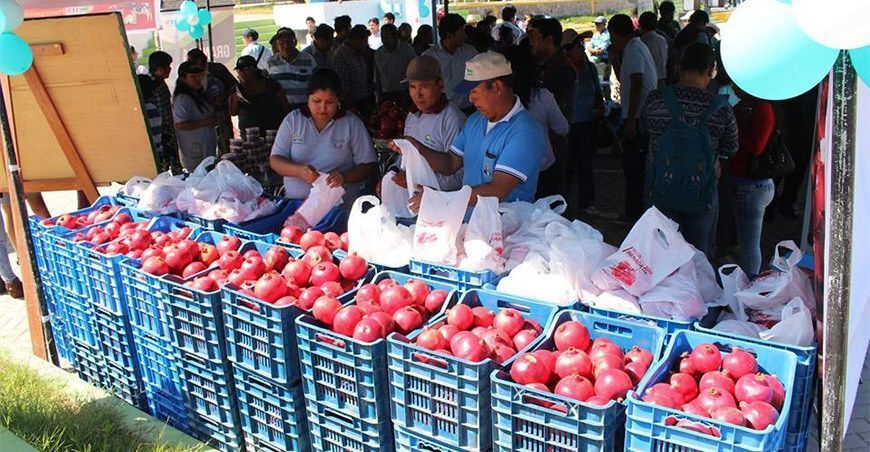boom agroexportación granada Perú 