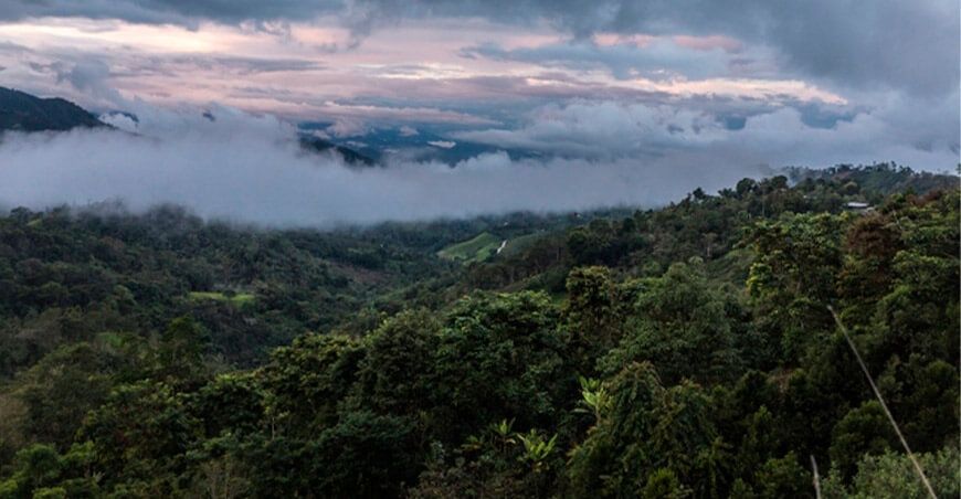 Área de Conservación Regional Bosques El Chaupe, Cunía y Chinchiquilla en la región Cajamarca