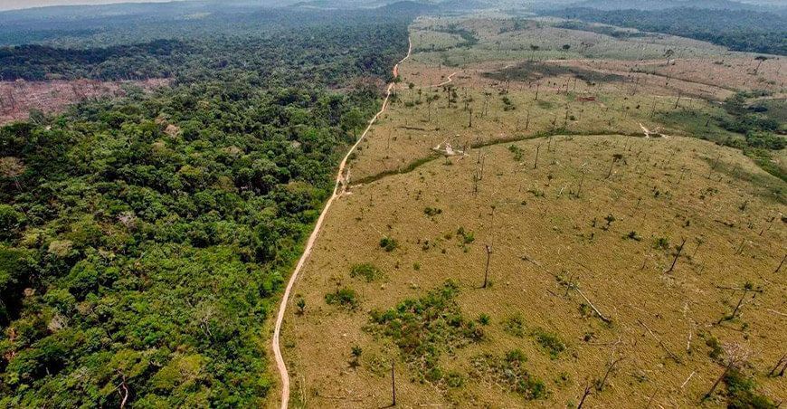 Un tercio de la Amazonía se degradó por el hombre y las sequías