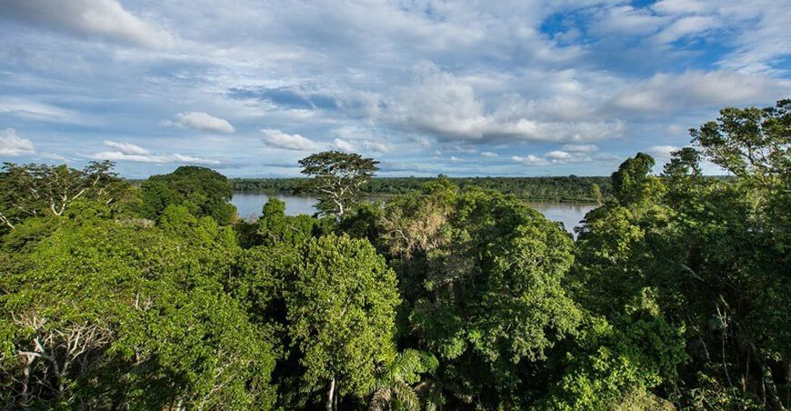 bosques Amazonía Perú