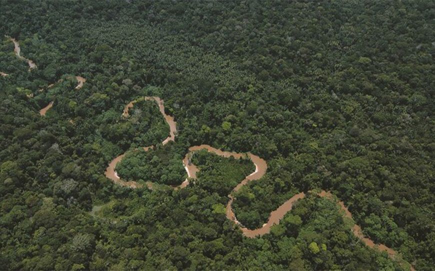 COP26: Perú suscribe la declaración sobre los bosques y uso de la tierra