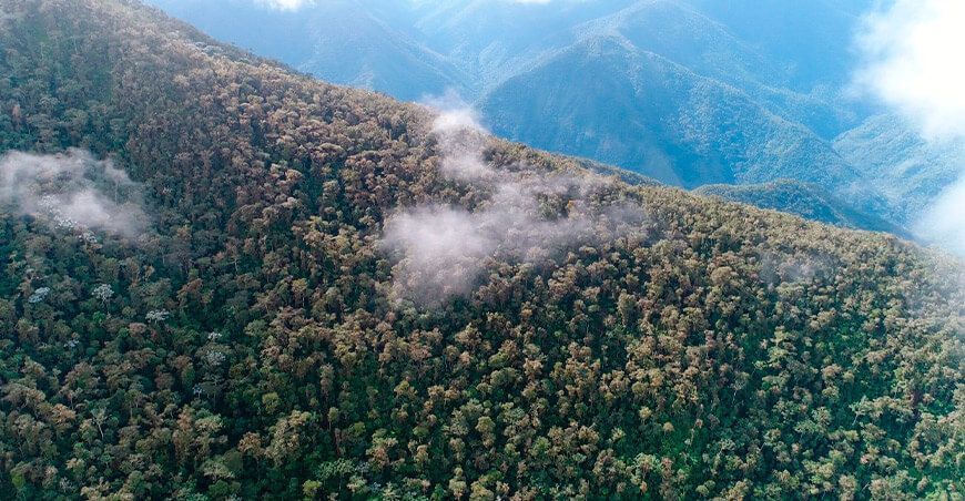 Pasco: incorporan 16 ecosistemas a la “Lista Sectorial de Ecosistemas Frágiles”