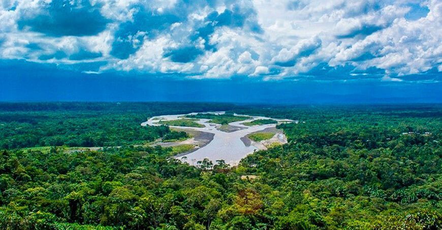 Día Internacional de los Bosques Tropicales
