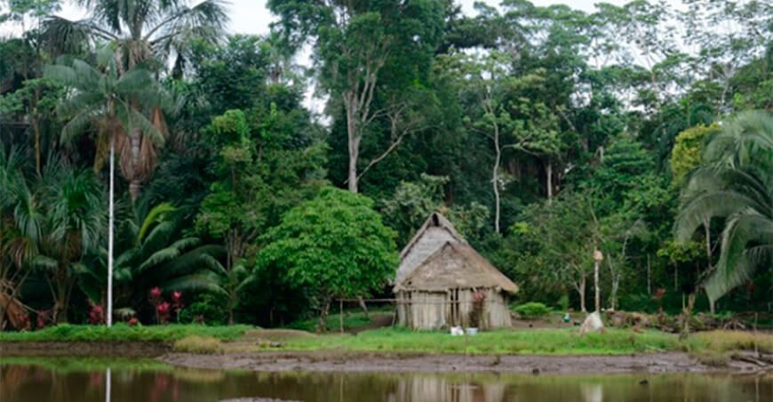 Bosques Ucayali