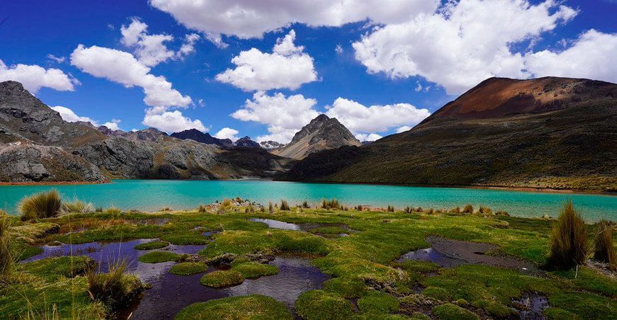 cambio climático afecta bofedales o humedales Andinos