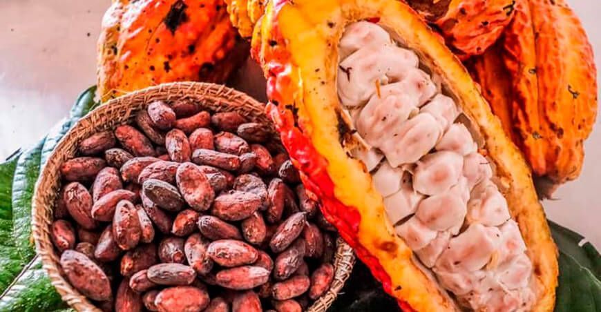 cacao del Perú