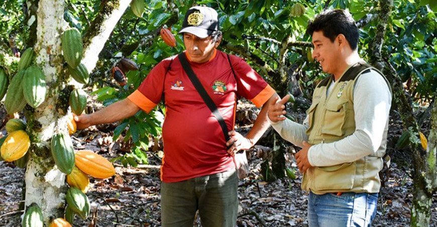 cacao Vraem