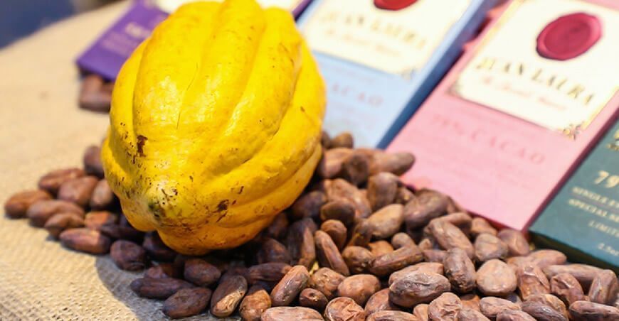 cadena de valor agregado cacao Perú