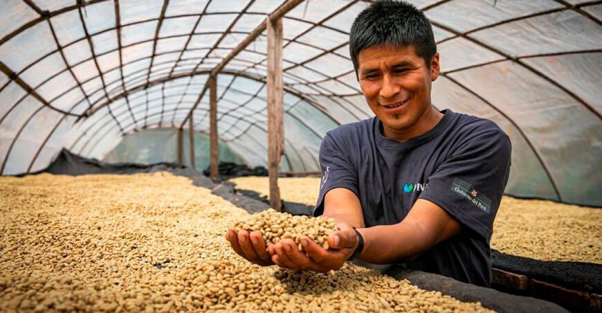 café en grano Perú