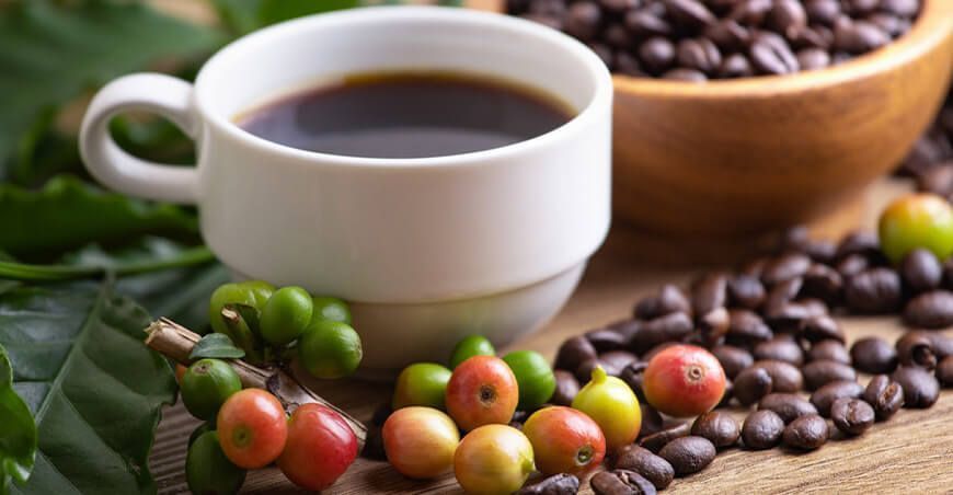 café Perú Día del Café Peruano