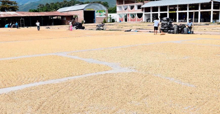 ACPC Pichanaki moderniza su planta de procesamiento de cafés especiales