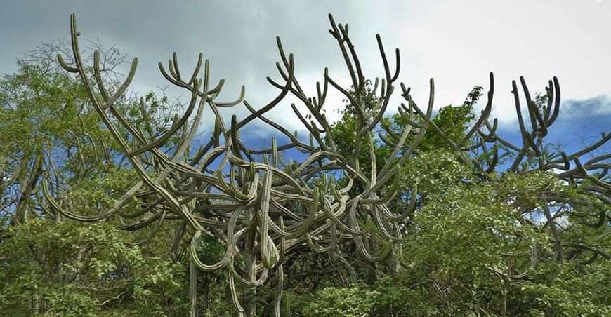 proteger áreas de conservación en Cajamarca