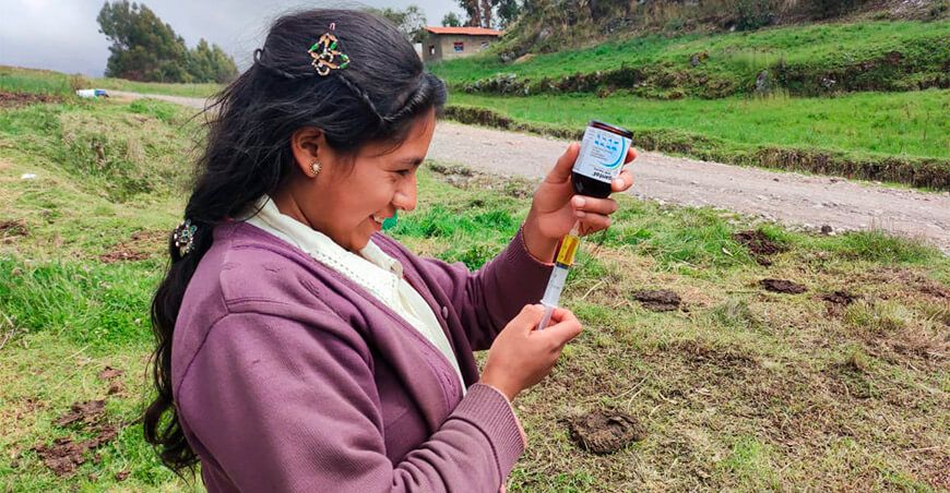 Cajamarca: implementan postas de inseminación con modernos equipos y pajillas de semen