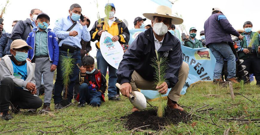 Poncho Verde instalación de plantones forestales Cajamarca