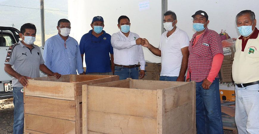 cajones fermentadores de cacao