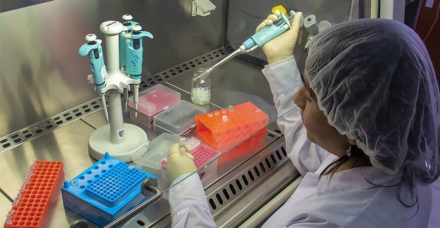 Estudio de hongos en las plantas medicinales altoandinas busca desarrollar mecanismos biotecnológicos para su uso y conservación