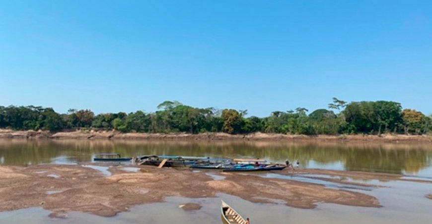 La selva sur y central soportará ola de calor de hasta 35 grados