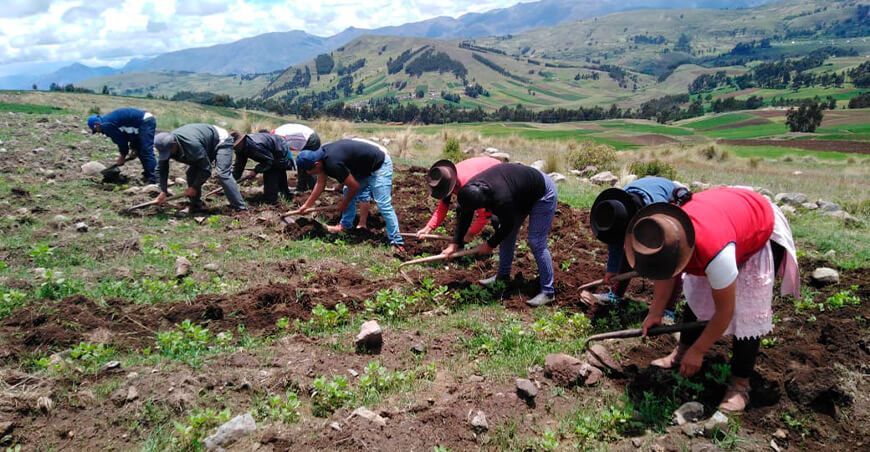 agricultores inician campaña agrícola Perú
