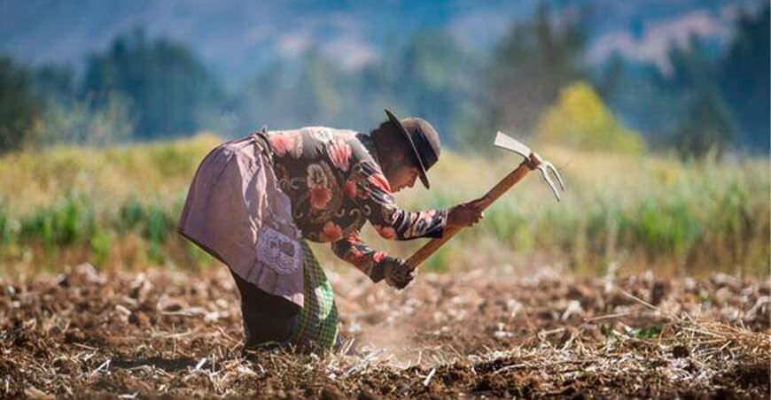 Campaña agrícola Perú
