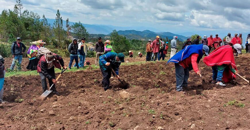 Campaña agrícola , agricultores sembrando Perú