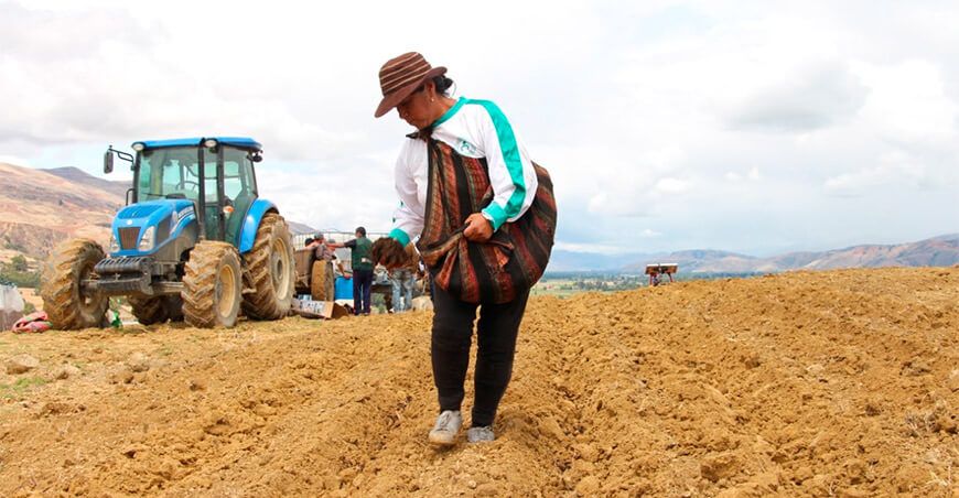 campaña agrícola Perú