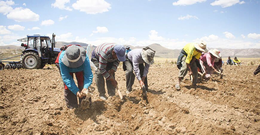 Agricultores Campaña agrícola Perú