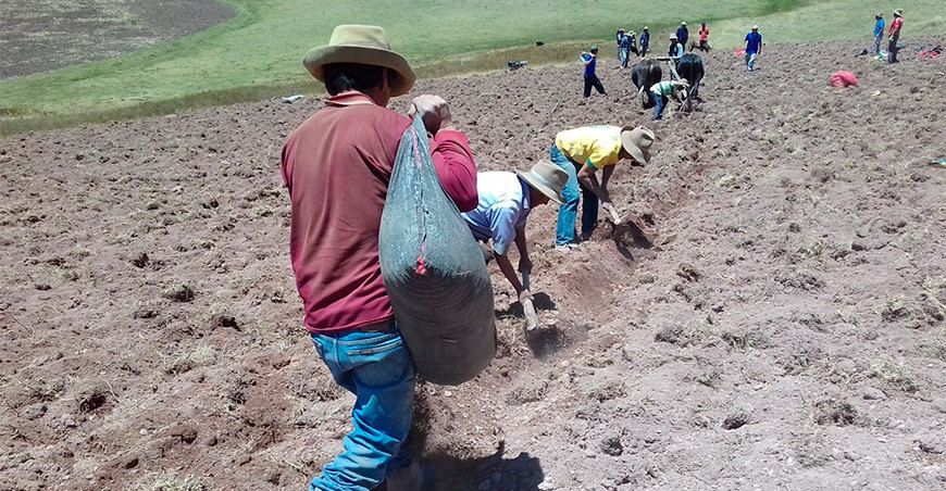 pide declarar en emergencia la campaña agrícola 2021-2022