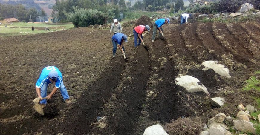 Campaña agrícola