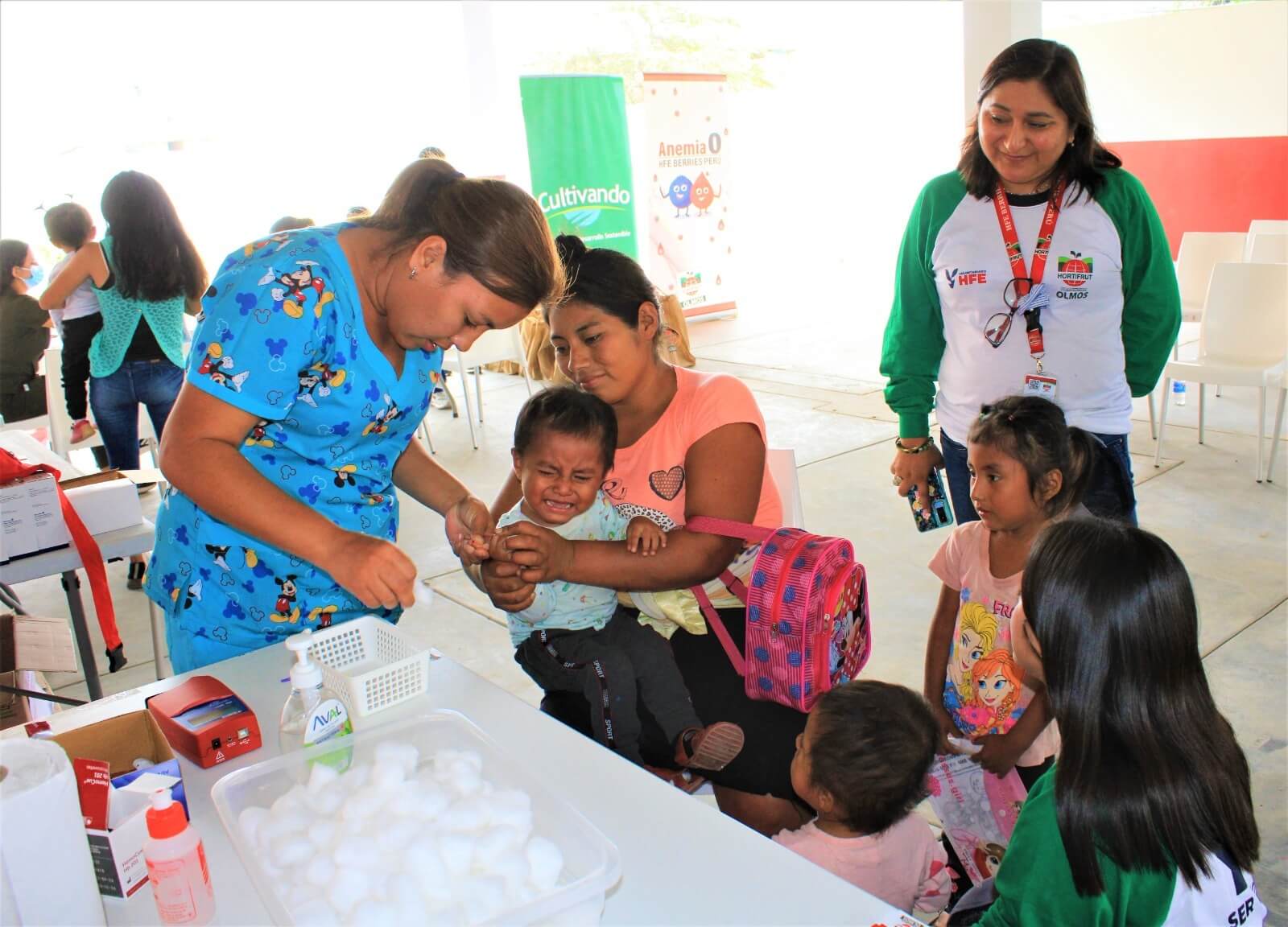 HFE Berries Perú - Hortifrut inició programa integral para disminuir casos de anemia en Olmos
