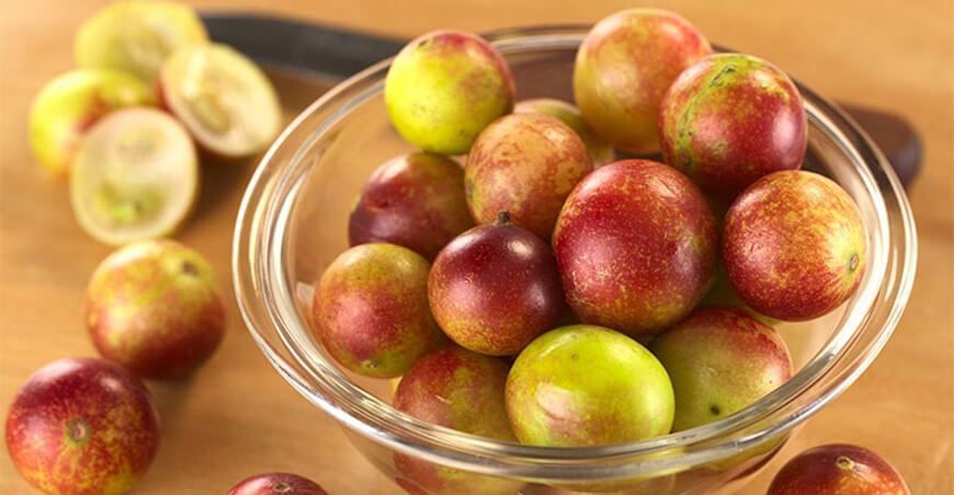 exportación de camu camu Perú