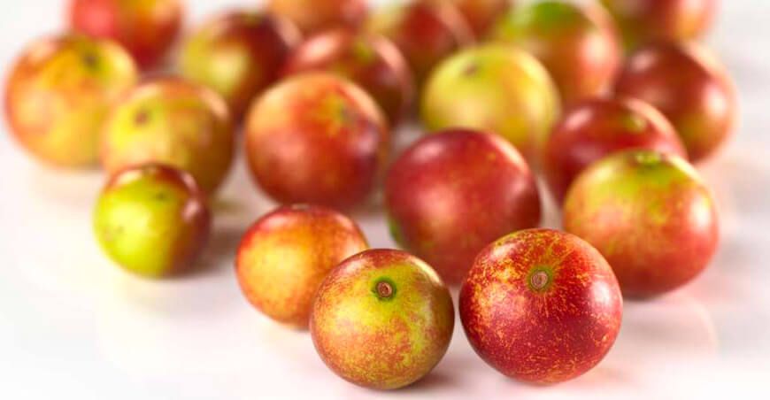 camu camu Perú