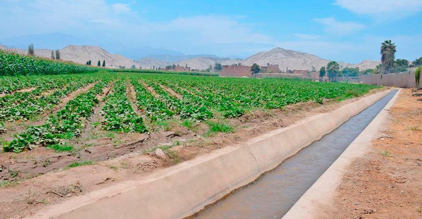 Lima: canal de riego “El Molino” ampliará frontera agrícola en Huaura