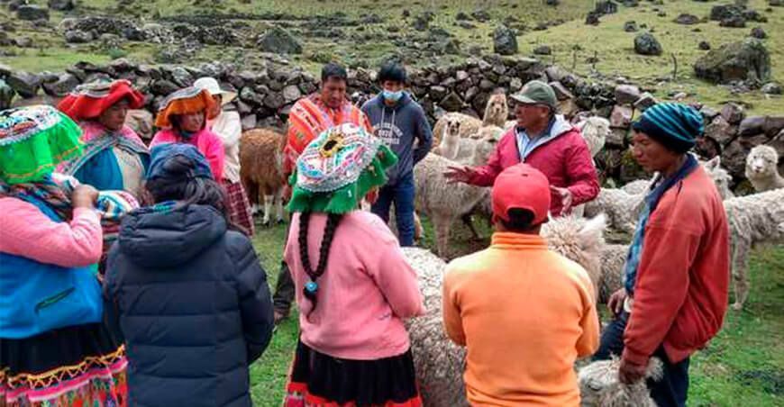 capacitación alpaqueros Cusco Perú