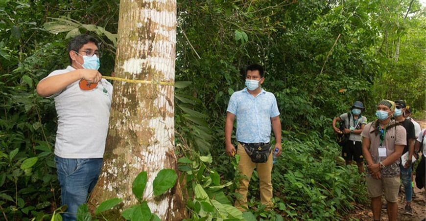 capacitarán sobre manejo forestal comunitario en cuatro lenguas indígenas