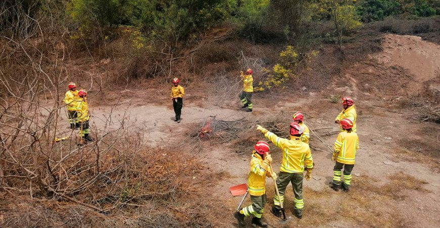 Serfor capacitó y entrenó en la prevención y respuesta de incendios forestales