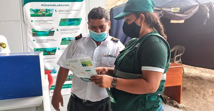 concientizan a productores y comerciantes para poder erradicar la mosca de la fruta