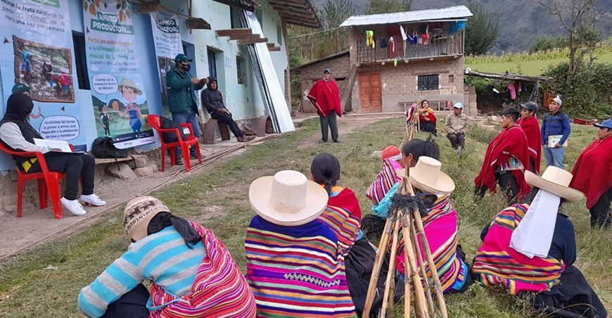 Lambayeque: buscan erradicar la mosca de la fruta en once comunidades de Cañaris