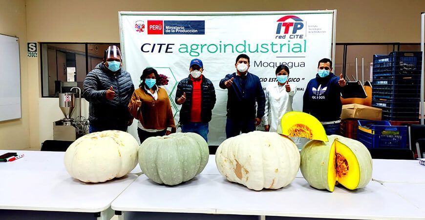 Productores de zapallo