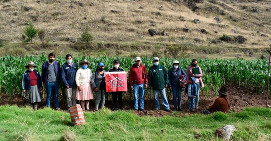 Cusco: productores de maíz se capacitaron en control de plagas