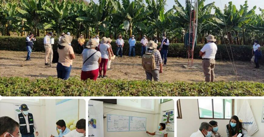 desarrollaron taller sobre servicios agroclimáticos en Motupe
