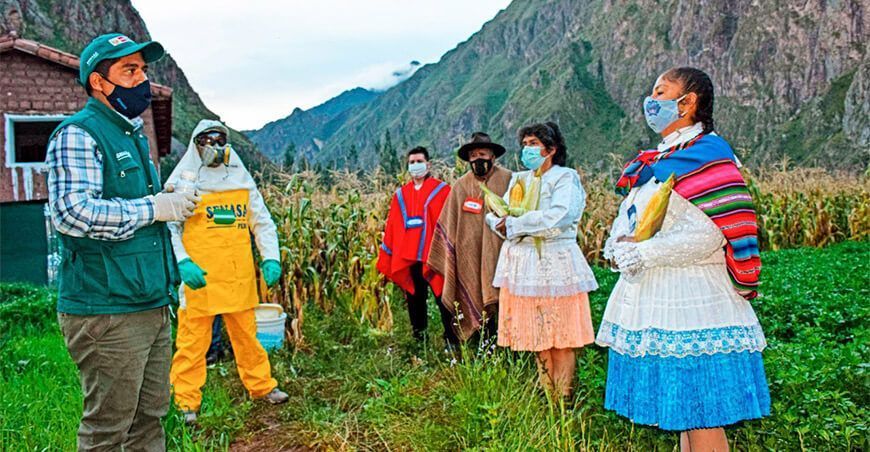 Senasa fortalece capacitaciones a productores para el manejo adecuado de plaguicidas