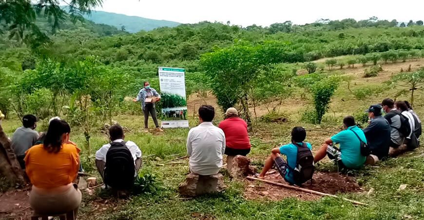 Agro Rural inicia ciclo de capacitaciones para participar en tercer concurso SEAR