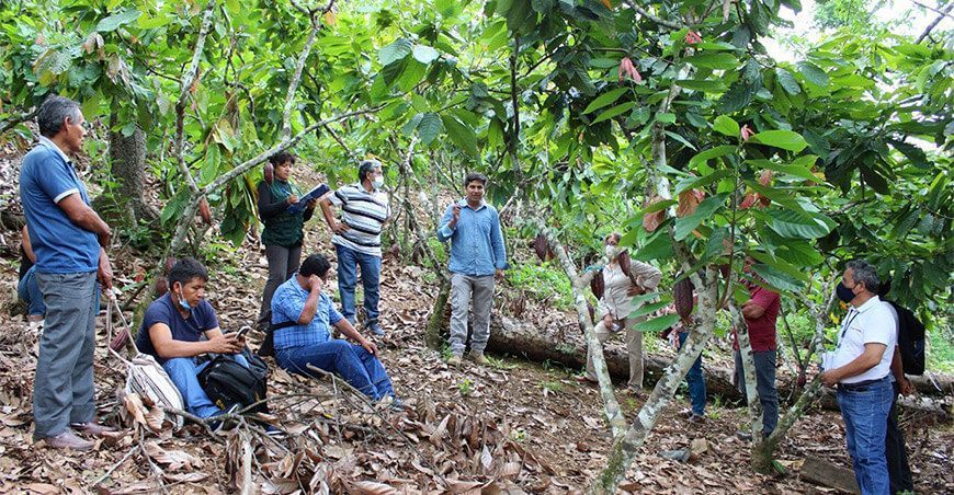 Junín: agricultores reciben capacitación sobre seguro agrario catastrófico