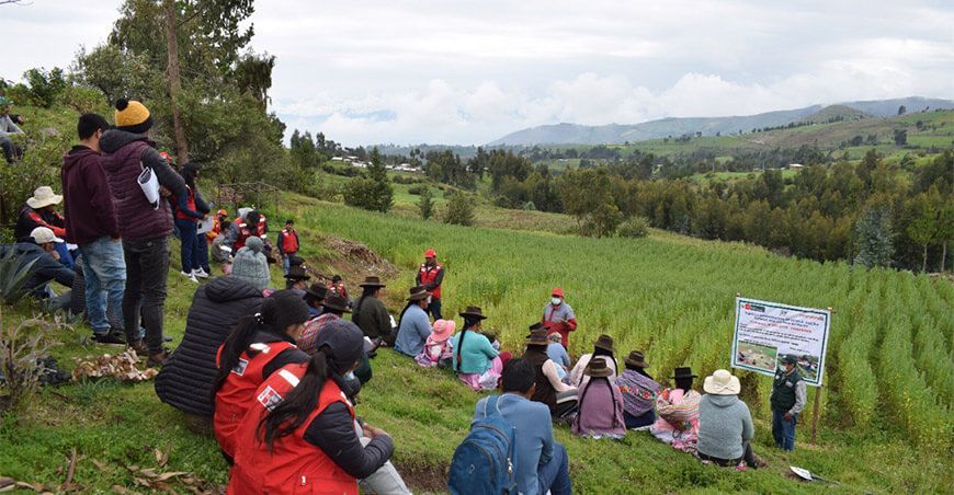productores de quinua son capacitados en manejo integrados de plagas