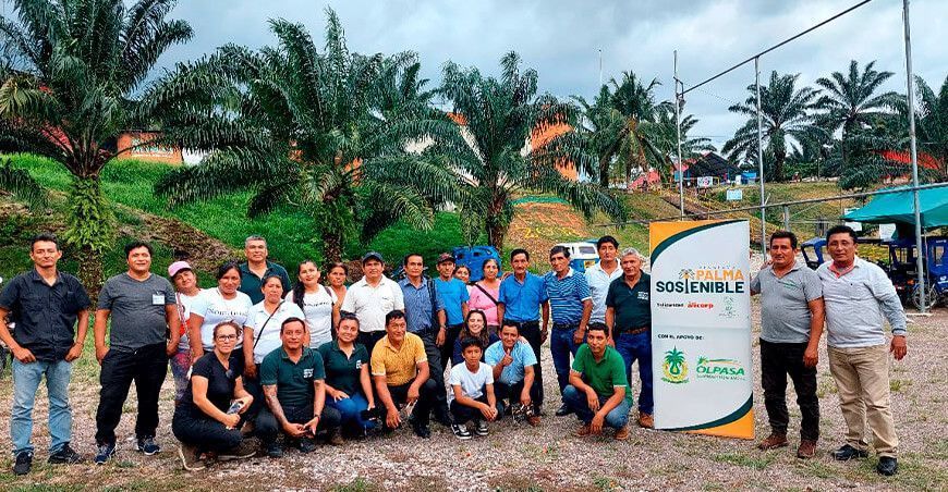Palmicultores de Ucayali se capacitan para impulsar buenas prácticas agrícolas