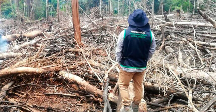 Capacitan a fiscales en control administrativo para investigar delitos forestales