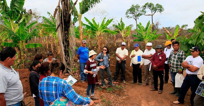capacitan a pobladores ante incendios forestales Perú
