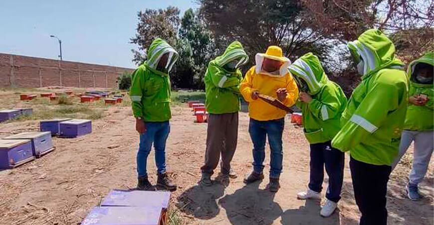productores apícolas Perú